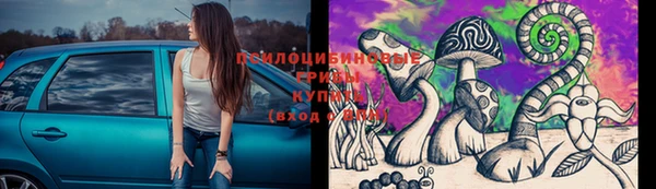 СК Богородицк