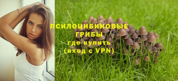 марки lsd Богородск