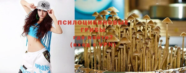бутират Богданович