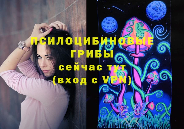 СК Богородицк